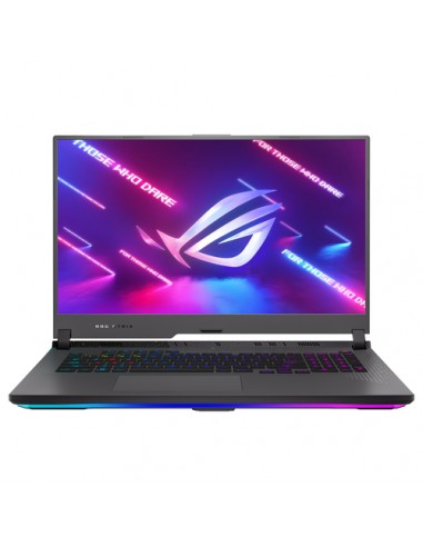 ASUS G713RS-LL008W